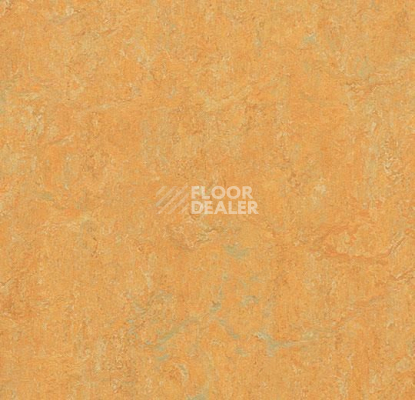 Линолеум Forbo Marmoleum Marbled Real 3847 Golden Saffron фото 1 | FLOORDEALER